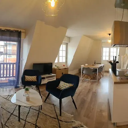 Duplex Au Coeur De Avec Vue Imprenable Et Parking Prive Довиль